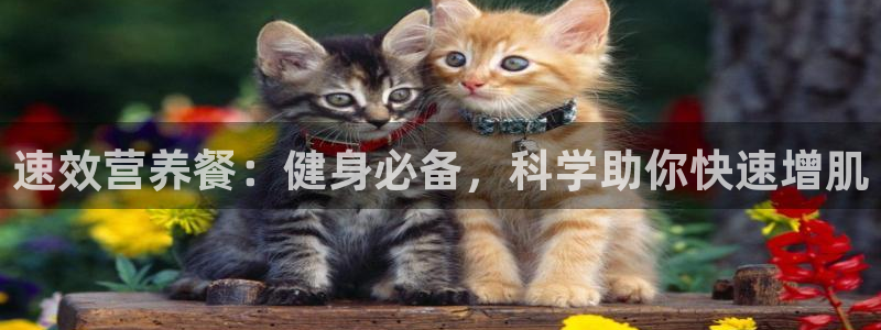 意昂4招商